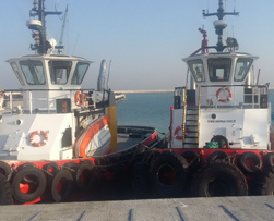 Pilotage and Towage Services